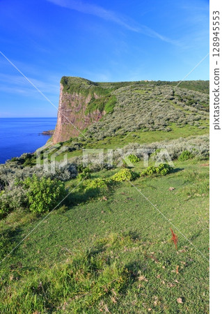 [島根縣] 晴朗的日子裡的國賀海岸摩天崖（隱岐諸島西之島） 128945553