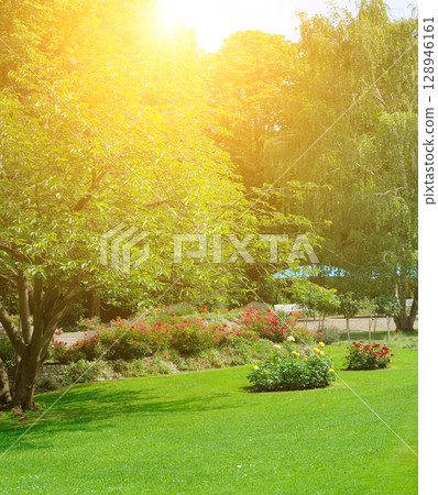 Beautiful garden with a flowerbed and bright sunset. Beautiful garden with a flowerbed and bright sunset. 128946161