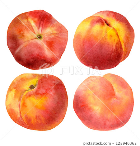 Watercolor set of peaches from different angels. Hand painted fruit with soft, delicate gradients of orange, yellow and red tones. Watercolor set of peaches from different angels. Hand painted fruit with soft, delicate gradients of orange, yellow and red tones. 128946362