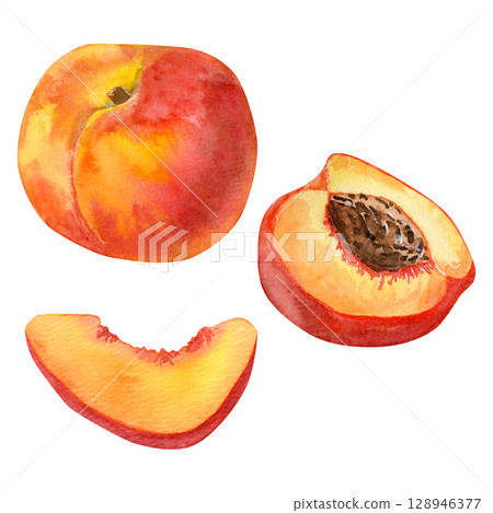Watercolor set with half peach with pit, peach slice, a ripe peach. Botanical fruit clipart Watercolor set with half peach with pit, peach slice, a ripe peach. Botanical fruit clipart 128946377