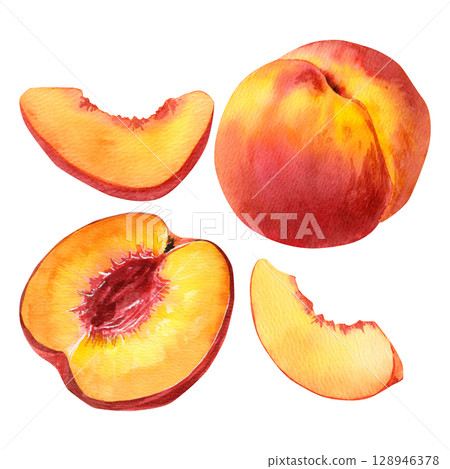 Watercolor set with half peach without pit, peach slices, a ripe peach. Botanical fruit clipart Watercolor set with half peach without pit, peach slices, a ripe peach. Botanical fruit clipart 128946378