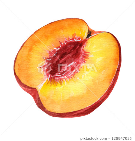Watercolor half peach without pit illustration. Fresh juicy fruit cut in half. Botanical fruit clipart Watercolor half peach without pit illustration. Fresh juicy fruit cut in half. Botanical fruit clipart 128947035