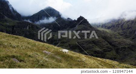 Serene landscape featuring a single sheep amidst breathtaking mountain scenery, the atmosphere is one of tranquility and grandeur. Serene landscape featuring a single sheep amidst breathtaking mountain scenery, the atmosphere is one of tranquility and grandeur. 128947144