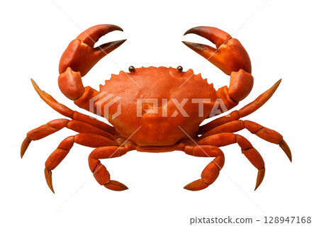 Colorful Red Crab With Large Claws Resting on a White Background 128947168
