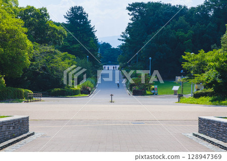 [Hattori Ryokuchi] A park rich in nature 128947369