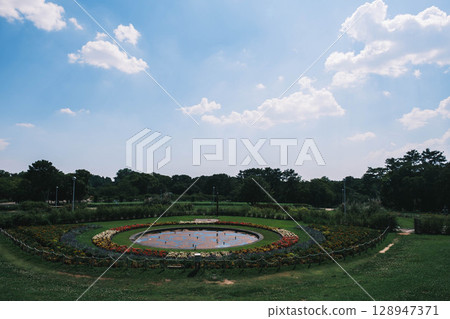 [Hattori Ryokuchi] A park rich in nature 128947371