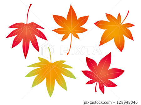 Autumn leaves set 128948046