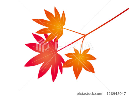 branch of colored leaves 128948047