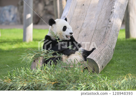 Nagahama relaxing on the slide Nagahama relaxing on the slide 128948393