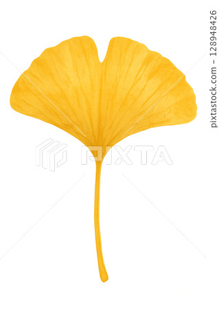 一片大銀杏葉（PNG 剪紙） 128948426