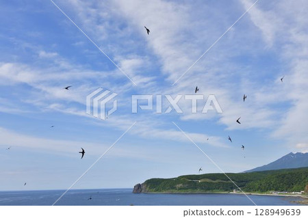知道床天空飛翔的雨燕 知道床天空飛翔的雨燕 128949639