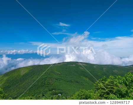 從蓼科山眺望雲層和藍天之上的壯麗山脊 從蓼科山眺望雲層和藍天之上的壯麗山脊 128949717