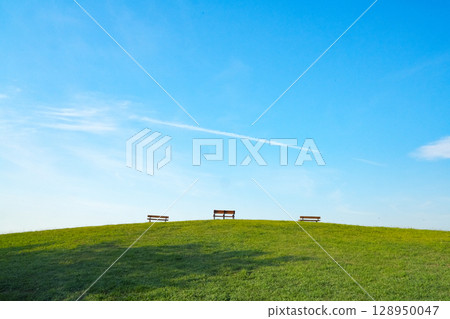 武藏野森林公園/設有長椅的山丘 武藏野森林公園/設有長椅的山丘 128950047