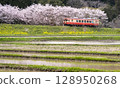 The Isumi Railway running through the rural scenery near Niitano Station and the colors of spring 128950268