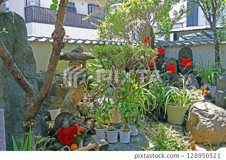 Koshoin (Taito) 128950521
