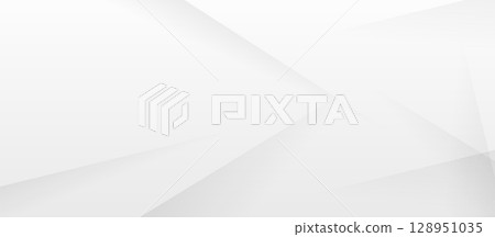 Abstract white and gray modern geometric diagonal lines texture background. Vector Illustration 128951035