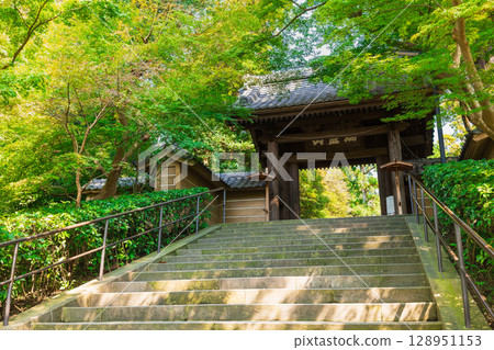 鎌倉鎌倉 128951153