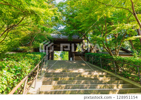 鎌倉鎌倉 鎌倉鎌倉 128951154