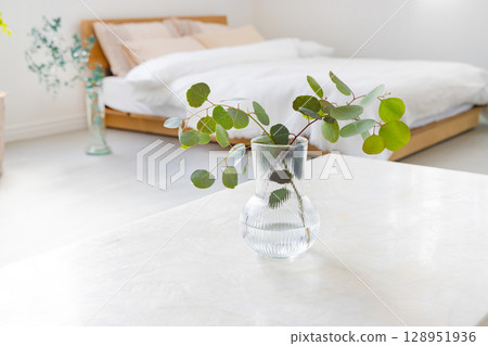 Houseplants in the bedroom 128951936