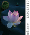Lotus 128952119