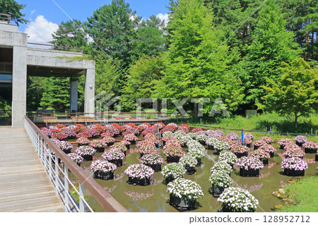 阿爾卑斯安曇野國立公園：Sanpatiens的漂浮花壇 128952712