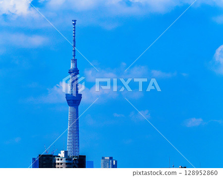 Scenery with sky tree 128952860