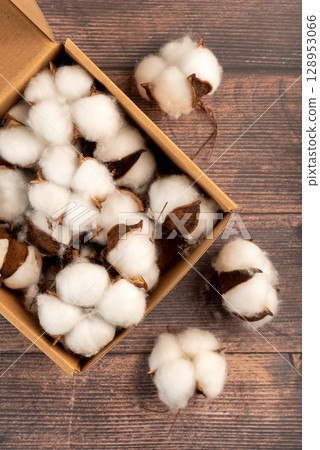 Artificial cotton in eco-friendly craft packaging, ideal for fall decorations and handmade crafts. Adds a touch of warmth and comfort Artificial cotton in eco-friendly craft packaging, ideal for fall decorations and handmade crafts. Adds a touch of warmth and comfort 128953066