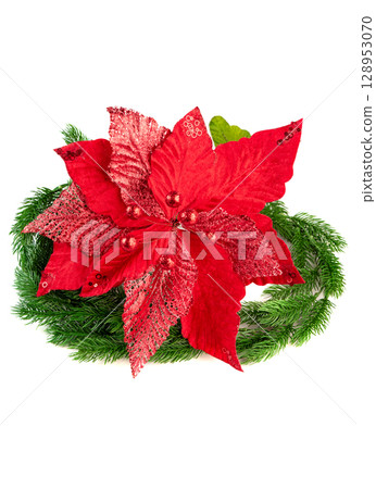 Elegant red poinsettia with velvety petals surrounded by green fir branches. Traditional and soft Christmas floral decoration on white background. Elegant red poinsettia with velvety petals surrounded by green fir branches. Traditional and soft Christmas floral decoration on white background. 128953070