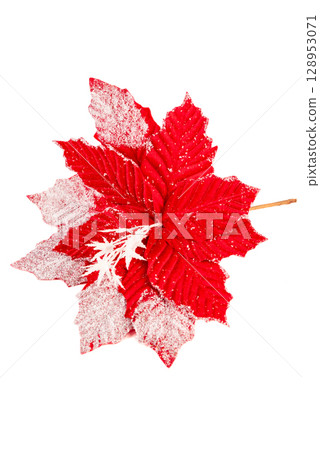Side view of red poinsettia with delicate white snowflakes. Decorative artificial Christmas flower for winter-themed compositions and crafts. 128953071