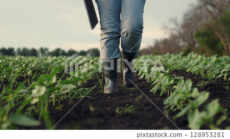 Agriculture, Plant monitoring in action, Beautiful farm field, Checking new crops, Woman assessing seedlings, Modern rural work, Agricultural innovation, Tech in agriculture, Early crop rows 128953281