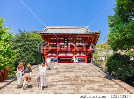 鎌倉鶴岡八幡宮 128953594