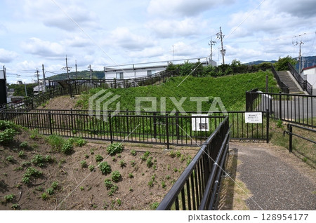Shintari Park, Shoryuji Castle Ruins, Dry Moat, Nagaokakyo City 128954177