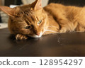 Cat sleeping on a cat tower 128954297