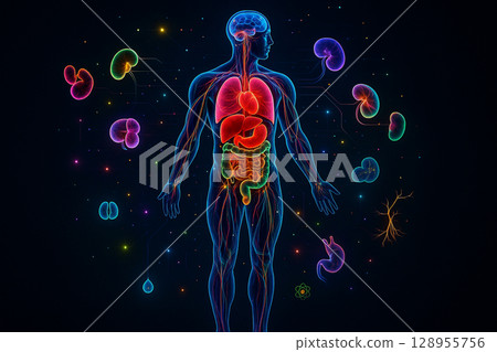 AI generated futuristic human anatomy with glowing internal organs surrounded by abstract floating organ graphics representing advanced biological data networks 128955756