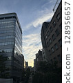 Shinjuku building at dusk in summer 128956657