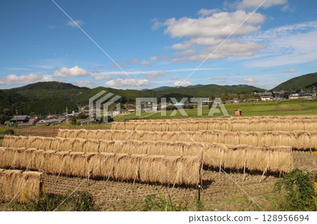 雨晴朗的太陽 128956694