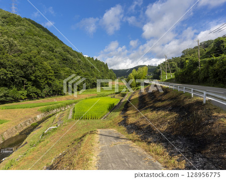 里山的梯田與道路風景 里山的梯田與道路風景 128956775