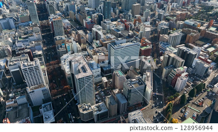 現代城市的無人機鳥瞰圖 現代城市的無人機鳥瞰圖 128956944