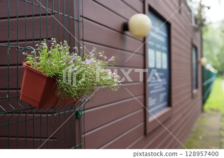 A Charming Outdoor Planter Beautifully Positioned Against a Rustic Wooden Wall Background A Charming Outdoor Planter Beautifully Positioned Against a Rustic Wooden Wall Background 128957400