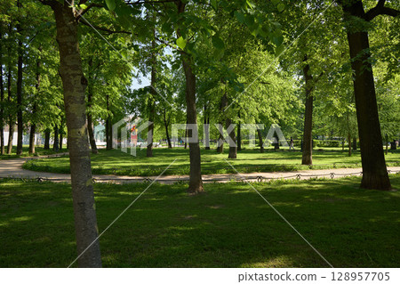 The Peaceful Green Park, with lush trees and winding paths, invites visitors to unwind 128957705