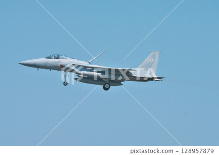 日美戰鬥機聯合訓練 日美戰鬥機聯合訓練 128957879