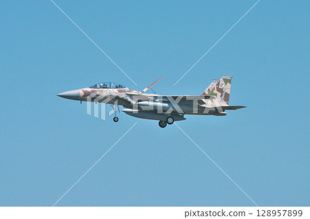 日美戰鬥機聯合訓練 日美戰鬥機聯合訓練 128957899