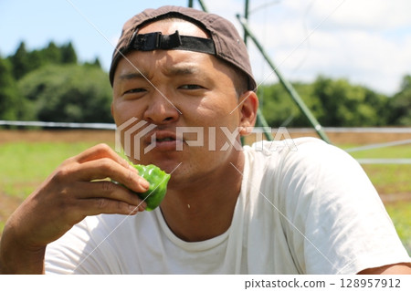 A young man biting into a raw pepper in Yachimata, Chiba Prefecture 128957912