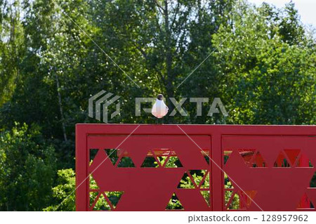 A beautifully artistic red fence set against a nature background with a lively bird perched nearby 128957962