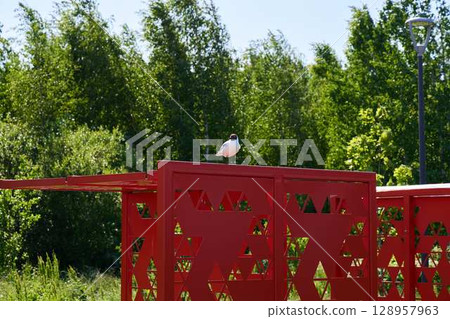 A small bird perches on a red structure, surrounded by greenery under bright sunlight 128957963