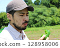 A pepper harvesting experience at a pepper farm in Yachimata, Chiba Prefecture 128958006