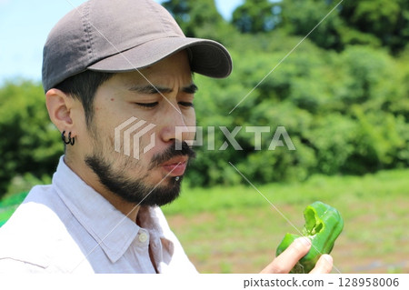 在千葉縣八街市的胡椒農場體驗採摘胡椒 在千葉縣八街市的胡椒農場體驗採摘胡椒 128958006