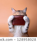 Cat hiding in wallet 128958028