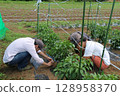 Interviewing and photographing a young male farmer in Yachimata City, Chiba Prefecture 128958370