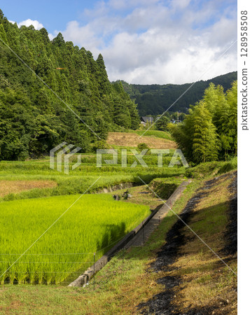 兵庫縣豬名川町柏原地區的梯田 兵庫縣豬名川町柏原地區的梯田 128958508